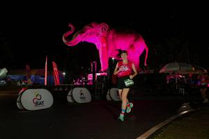 BIB: 
                            <button type="button" onclick="openModal(26543127)" class="btn btn-primary btn-sm float-right btn-popup" data-toggle="modal" data-target=".modal-high-quality">
                        <i class="fas fa-shopping-cart"></i> Add to Cart
                    </button>
                                            <button type="button" onclick="isThisMe(26543127, true)" class="btn btn-success btn-sm float-right btn-popup btn-isme hidden" data-toggle="tooltip" data-placement="bottom" title="นี่คือรูปของคุณใช่ไหม คลิกที่นี่เพื่อเอาเข้าอัลบั้ม">
                        <i class="fas fa-plus"></i> Add to album
                    </button>
                    <button type="button" onclick="isThisMe(26543127, false)" class="btn btn-warning btn-sm float-right btn-popup btn-isnotme hidden">
                        <i class="fas fa-ban"></i> Remove from album
                    </button>